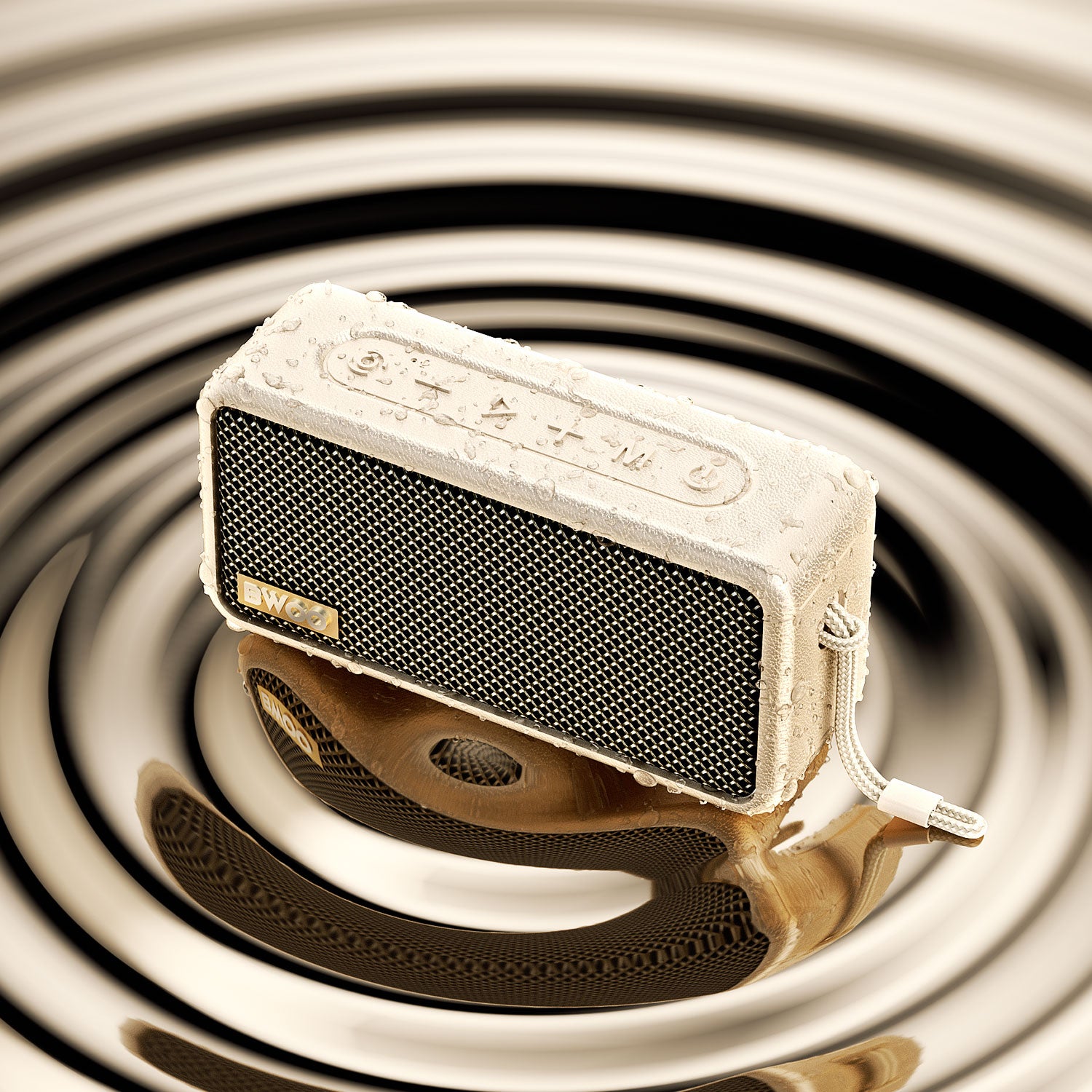 Speaker with Dual Speakers