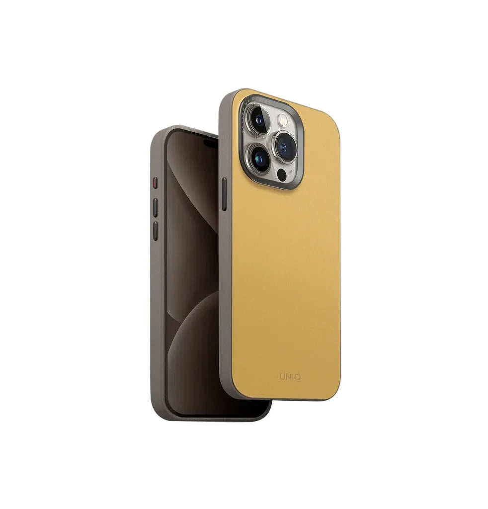 Lyden DS iPhone Case