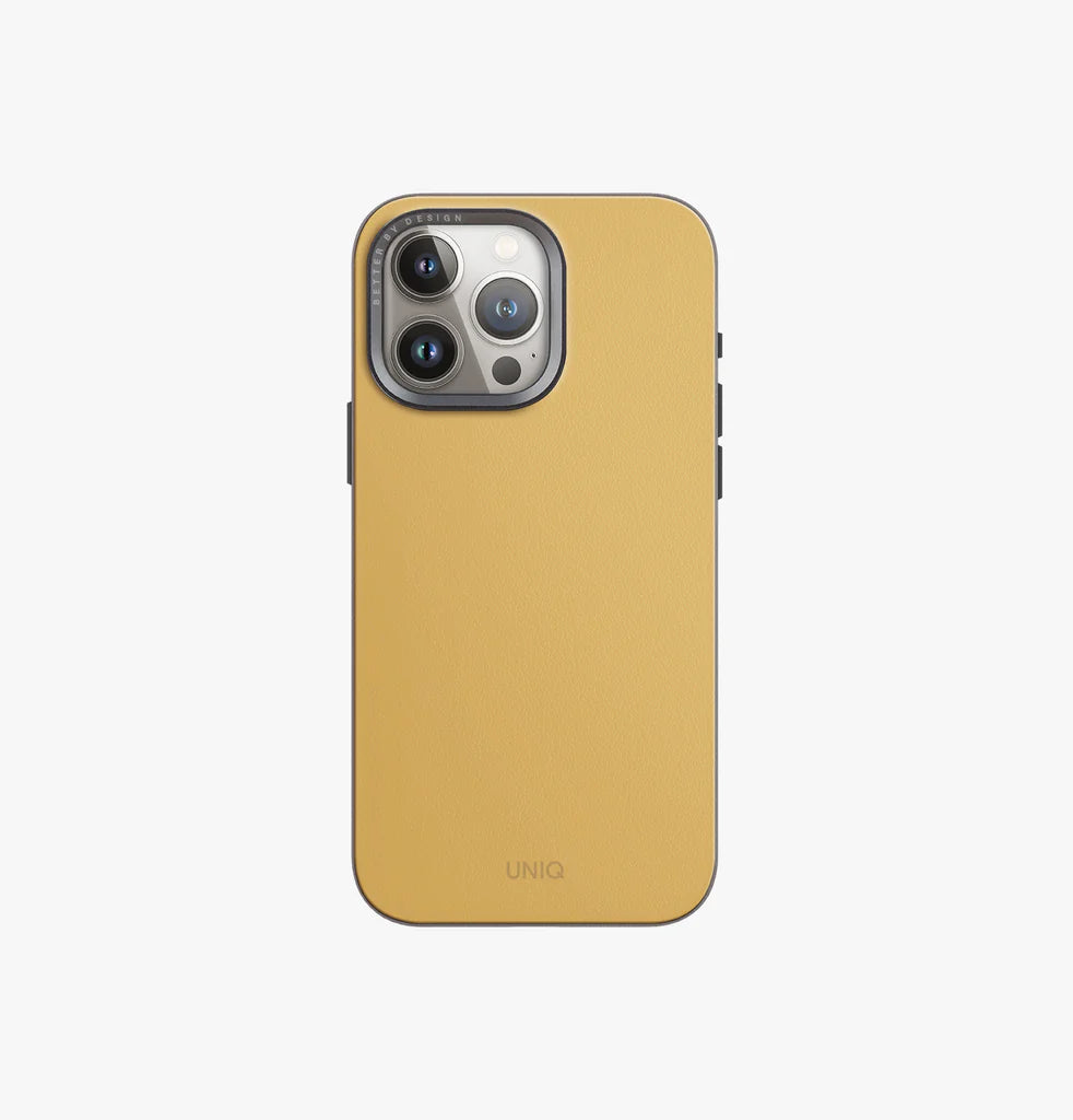 Lyden DS iPhone Case