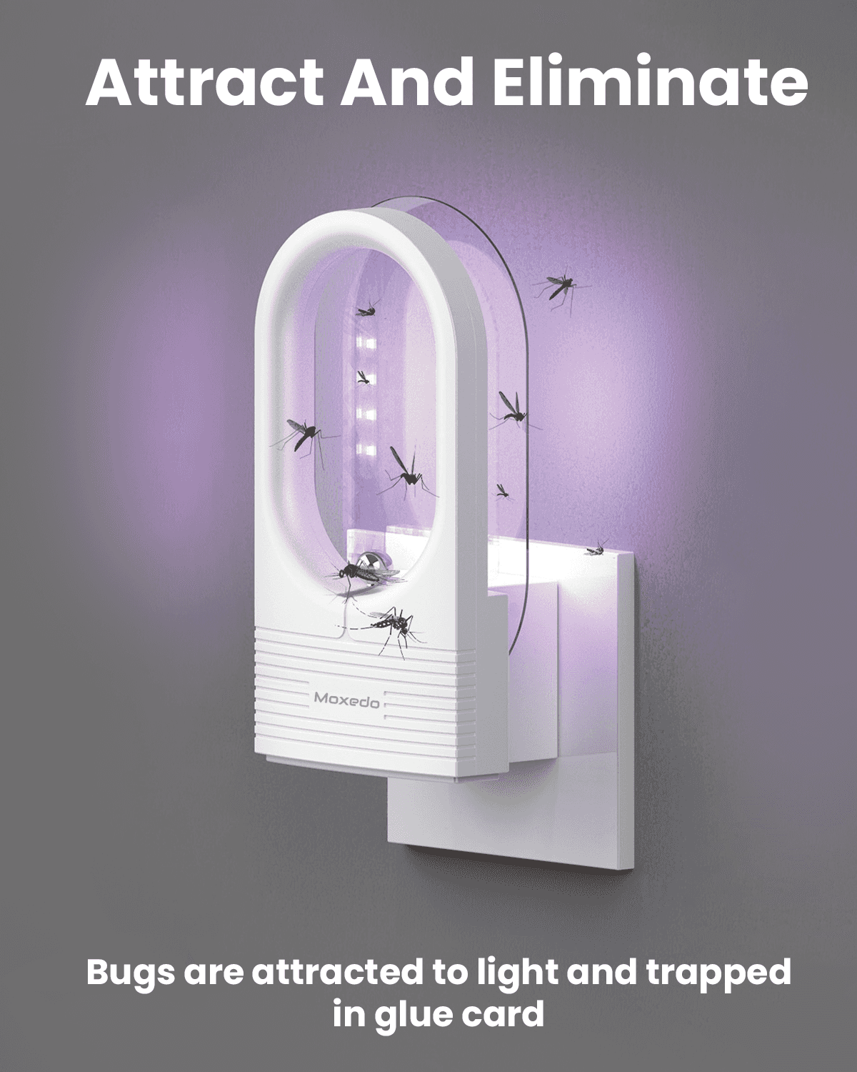 Indoor Insect Killer