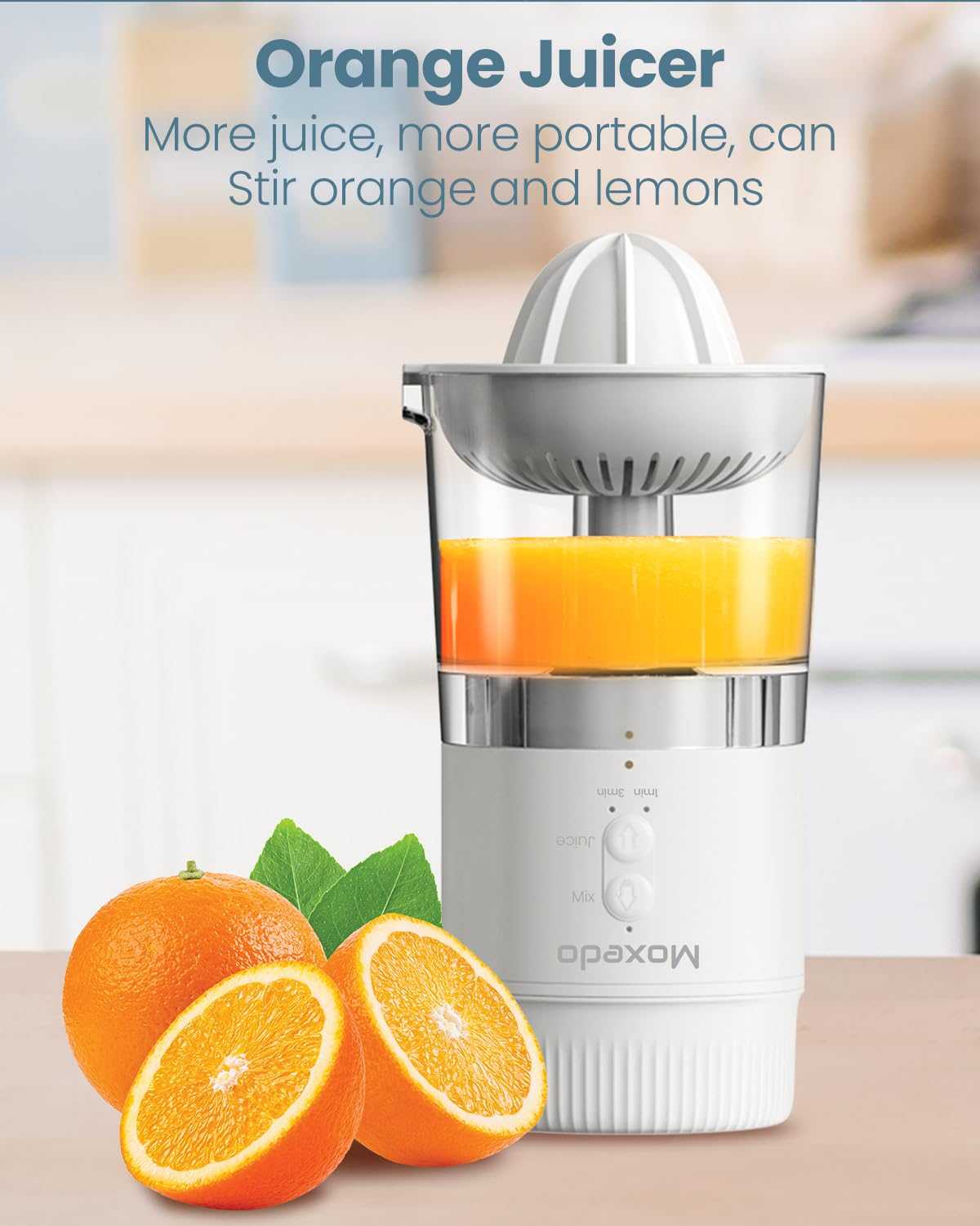 3 in 1 Portable Juicer Blender
