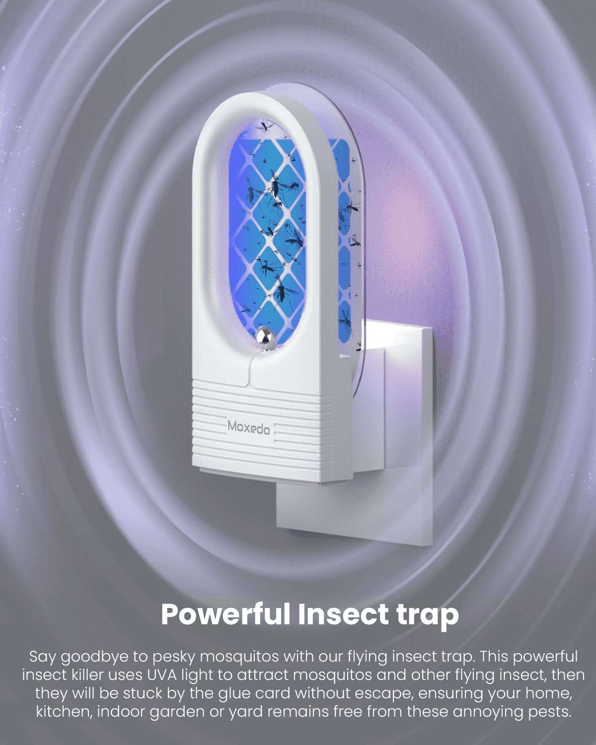Indoor Insect Killer